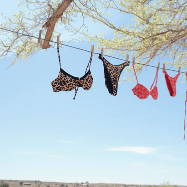 swimsuits hanging on a clothesline against a blue sky.