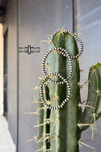 Silver hoop earrings on a cactus with 'Rowdy & Rodeo' branding.